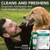 Vet’s Best Enzymatic Dog Toothpaste | Teeth Cleaning and Fresh Breath Dental Care Gel | Vet Formulated - Image 2